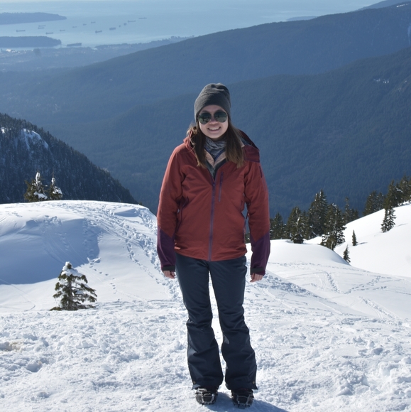 Arc'teryx Scimitar Ski Jacket (Shashka/Sentinel) - Picture 8 of 13